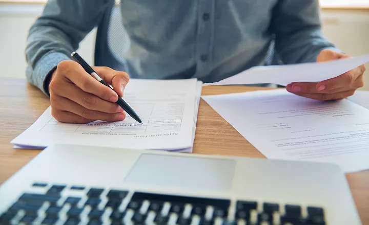 Wynajem i sprzedaż żurawi wieżowych